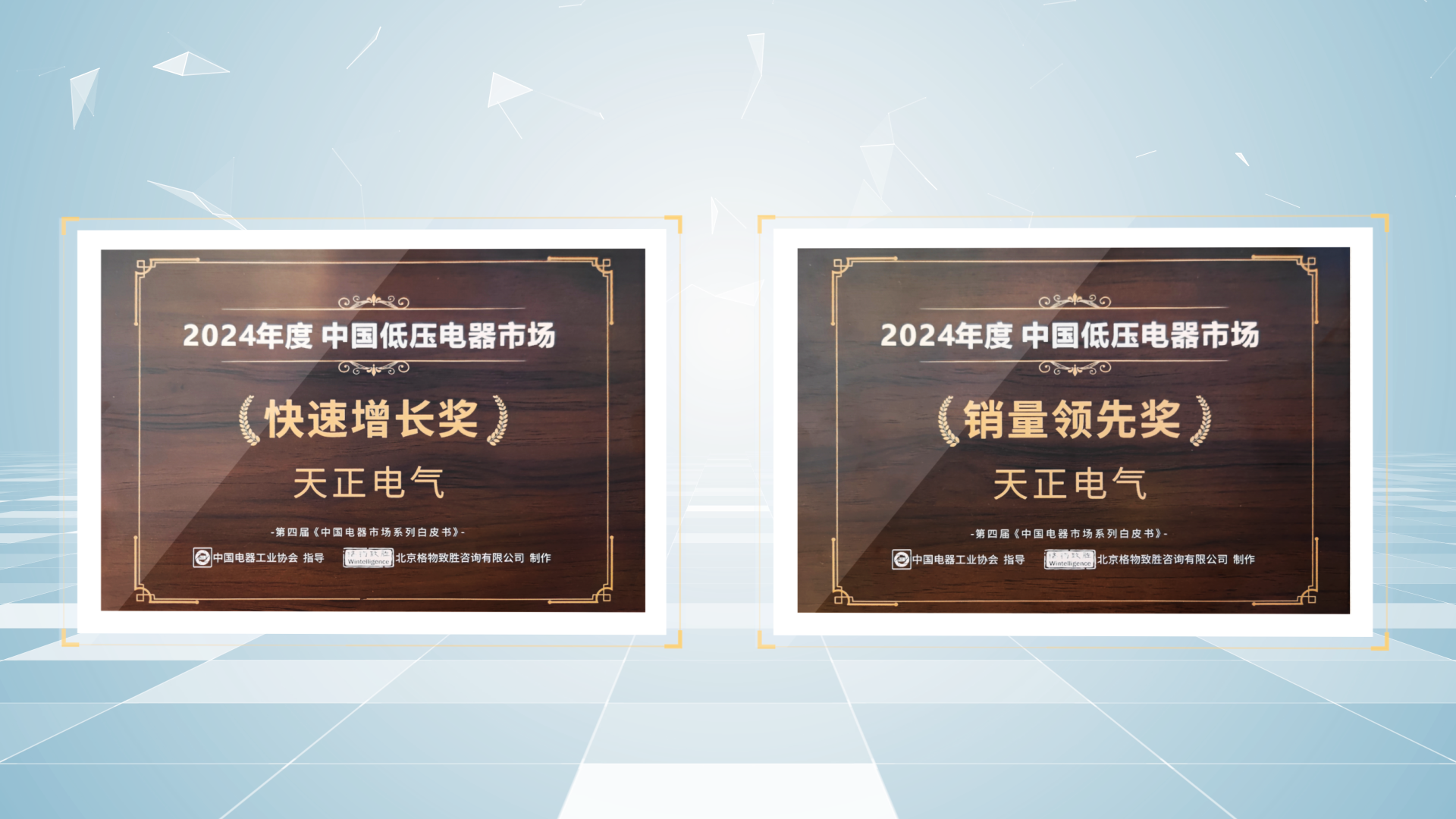 銷量領(lǐng)先、快速增長丨天正榮膺2項行業(yè)年度大獎